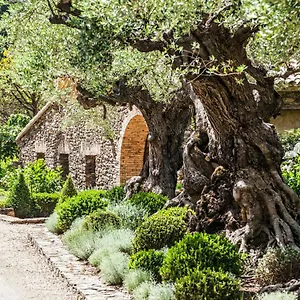 Affittacamere Domaine Les Mésanges, Gassin
